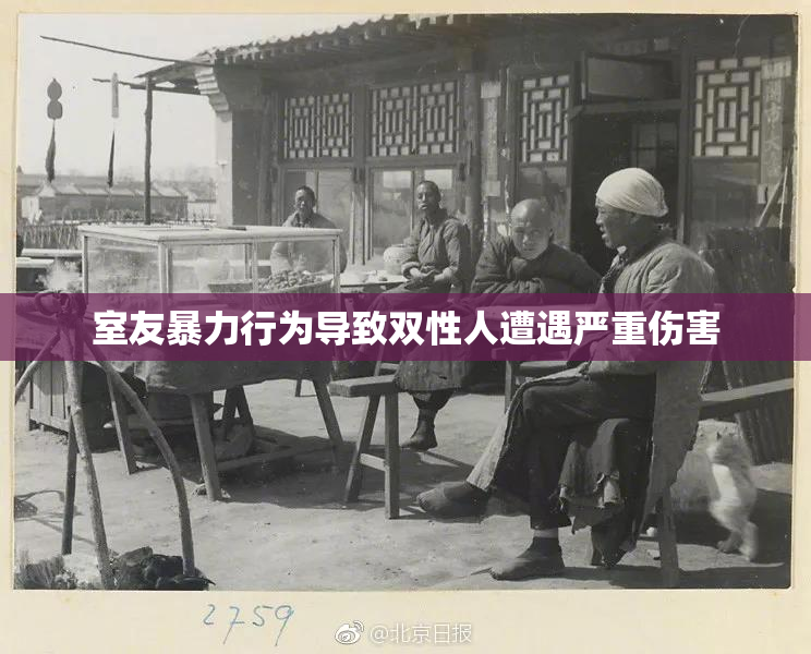 室友暴力行为导致双性人遭遇严重伤害