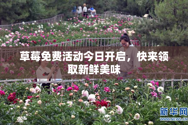 草莓免费活动今日开启，快来领取新鲜美味