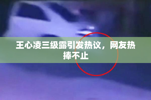 王心凌三级露引发热议，网友热捧不止