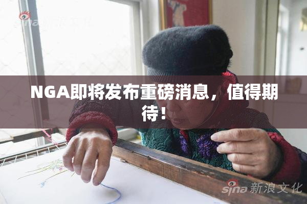 NGA即将发布重磅消息，值得期待！