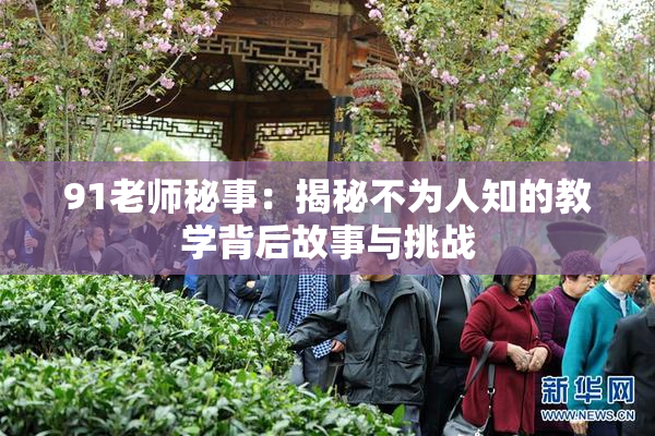 91老师秘事：揭秘不为人知的教学背后故事与挑战