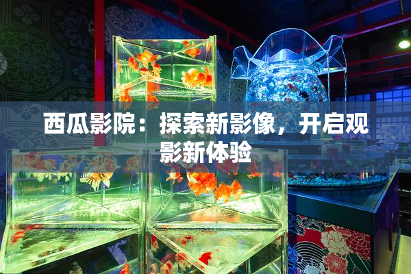 西瓜影院：探索新影像，开启观影新体验