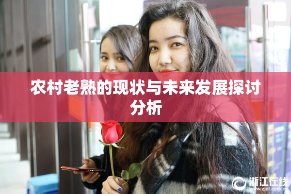 农村老熟的现状与未来发展探讨分析