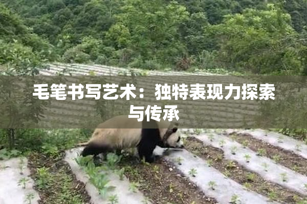 毛笔书写艺术：独特表现力探索与传承