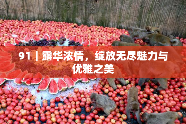 91丨露华浓情，绽放无尽魅力与优雅之美