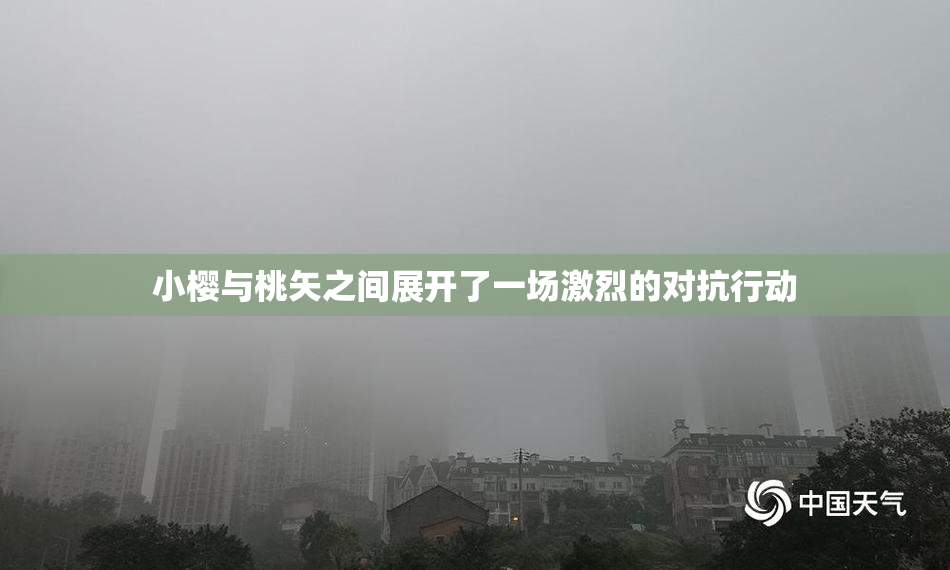 小樱与桃矢之间展开了一场激烈的对抗行动