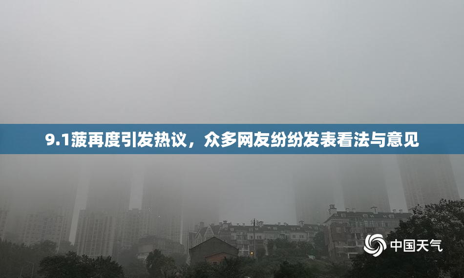 9.1菠再度引发热议，众多网友纷纷发表看法与意见