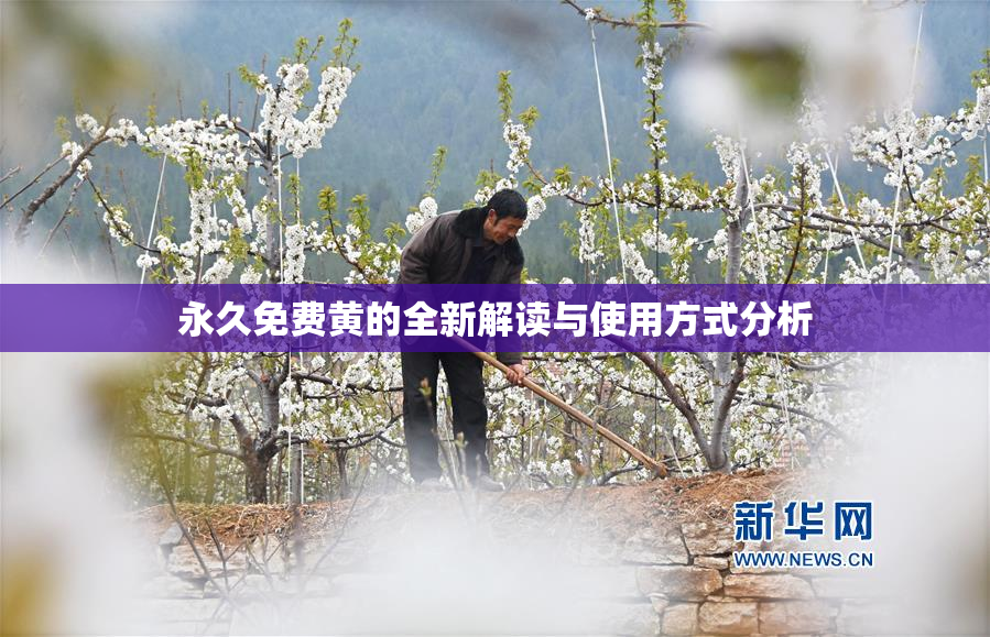 永久免费黄的全新解读与使用方式分析