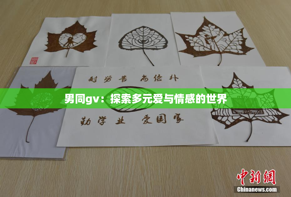 男同gv：探索多元爱与情感的世界