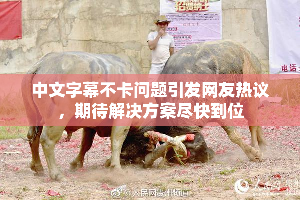 中文字幕不卡问题引发网友热议，期待解决方案尽快到位