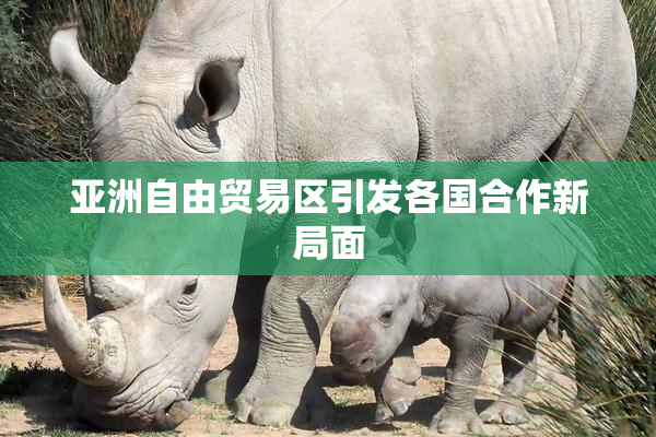 亚洲自由贸易区引发各国合作新局面