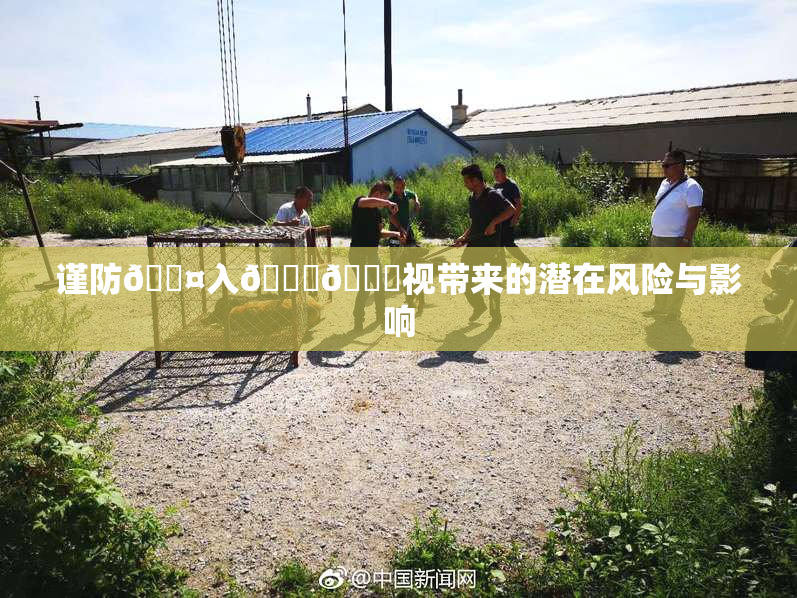 谨防🐤入🍑🍑视带来的潜在风险与影响