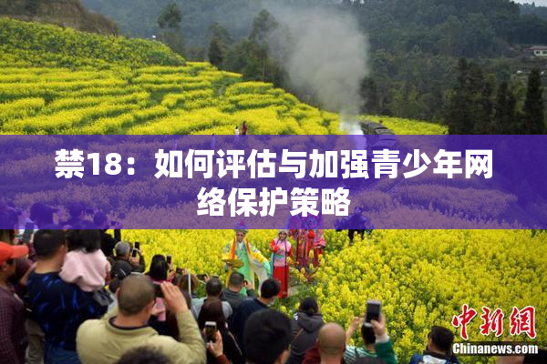 禁18：如何评估与加强青少年网络保护策略