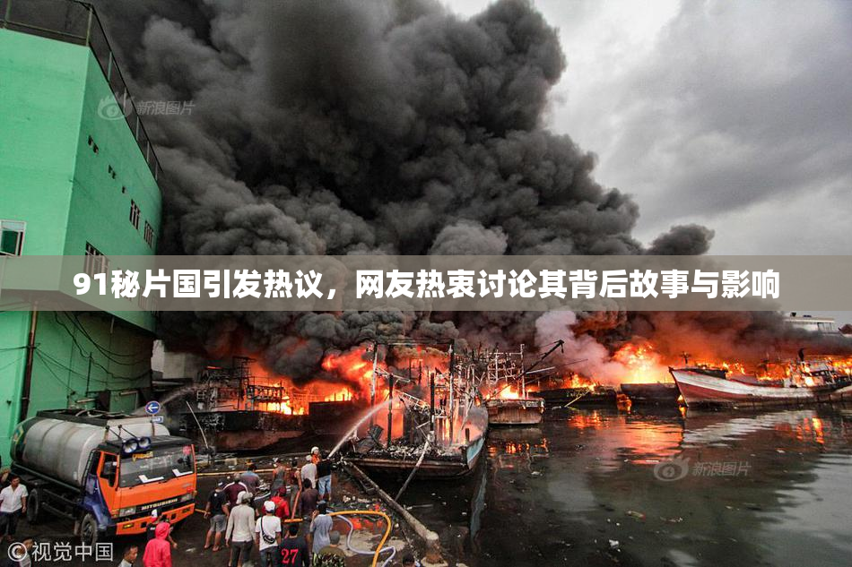 91秘片国引发热议，网友热衷讨论其背后故事与影响