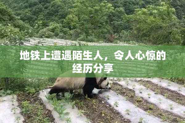 地铁上遭遇陌生人，令人心惊的经历分享