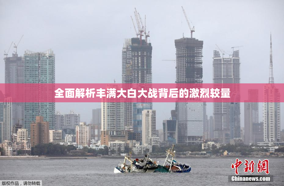 全面解析丰满大白大战背后的激烈较量