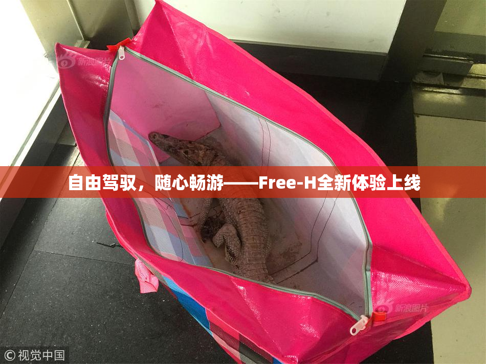 自由驾驭，随心畅游——Free-H全新体验上线