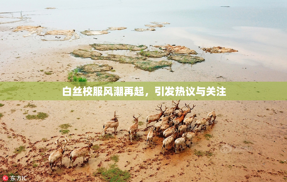 白丝校服风潮再起，引发热议与关注