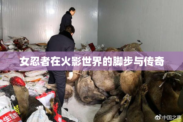 女忍者在火影世界的脚步与传奇