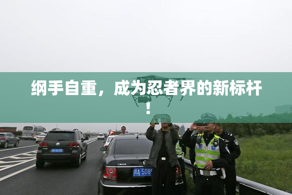 纲手自重，成为忍者界的新标杆！