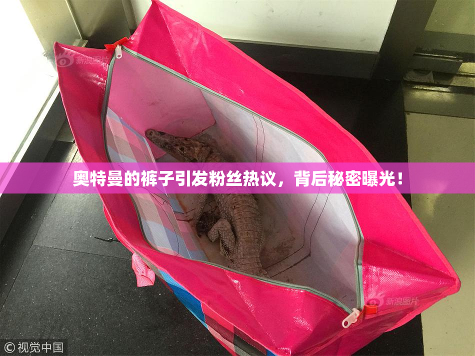 奥特曼的裤子引发粉丝热议，背后秘密曝光！