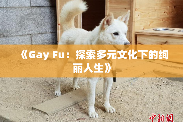《Gay Fu：探索多元文化下的绚丽人生》