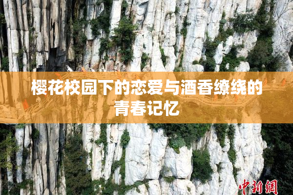 樱花校园下的恋爱与酒香缭绕的青春记忆