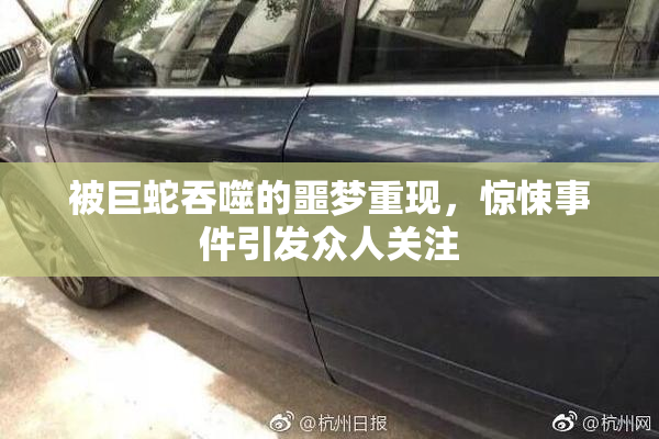 被巨蛇吞噬的噩梦重现，惊悚事件引发众人关注