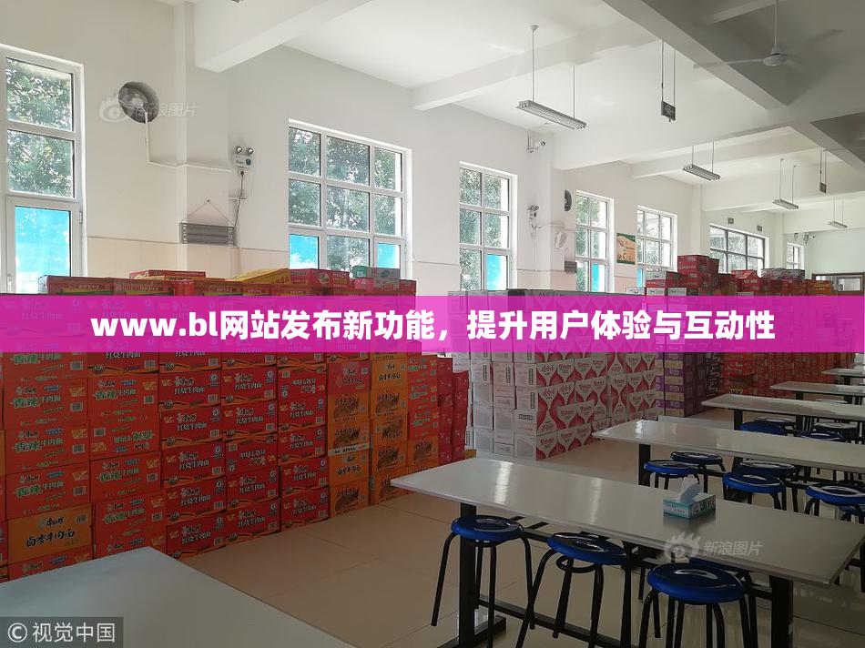 www.bl网站发布新功能，提升用户体验与互动性