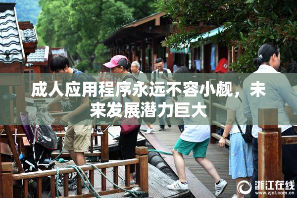 成人应用程序永远不容小觑，未来发展潜力巨大