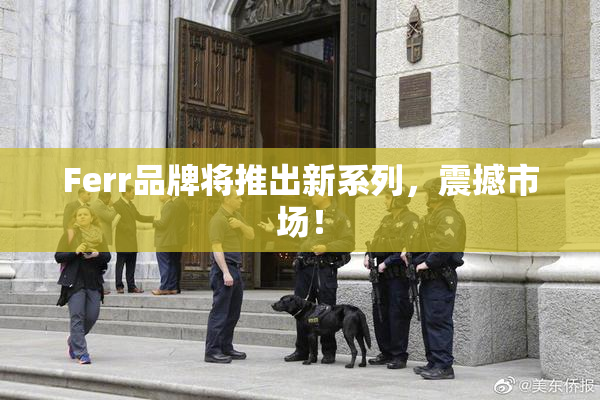 Ferr品牌将推出新系列，震撼市场！