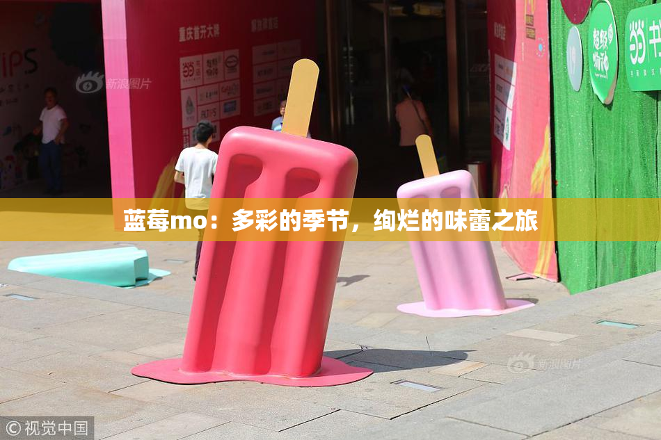蓝莓mo：多彩的季节，绚烂的味蕾之旅