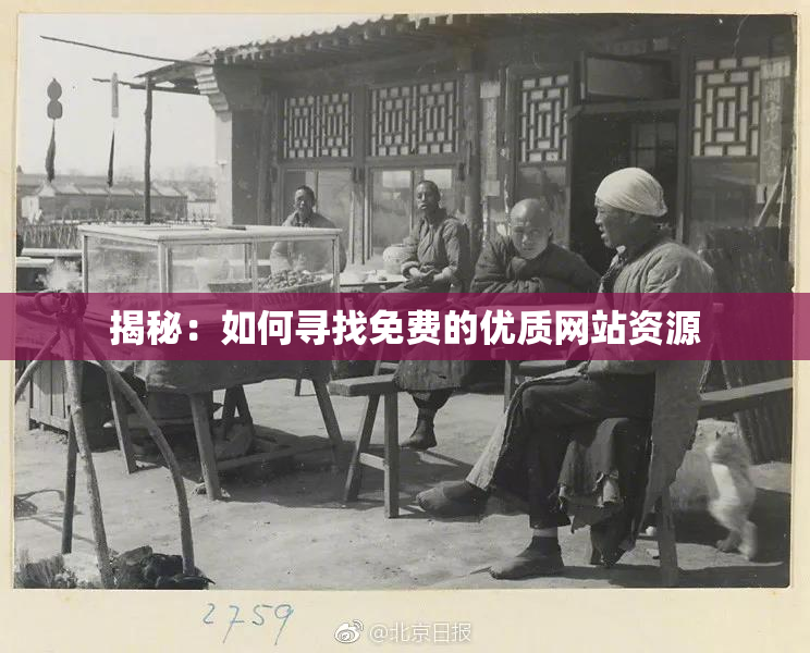 揭秘：如何寻找免费的优质网站资源