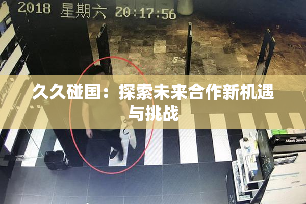 久久碰国：探索未来合作新机遇与挑战