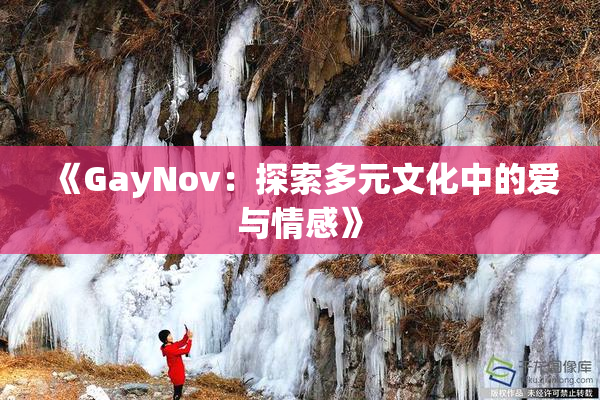 《GayNov：探索多元文化中的爱与情感》
