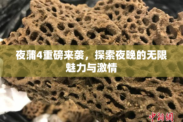 夜蒲4重磅来袭，探索夜晚的无限魅力与激情