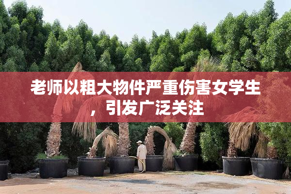 老师以粗大物件严重伤害女学生，引发广泛关注