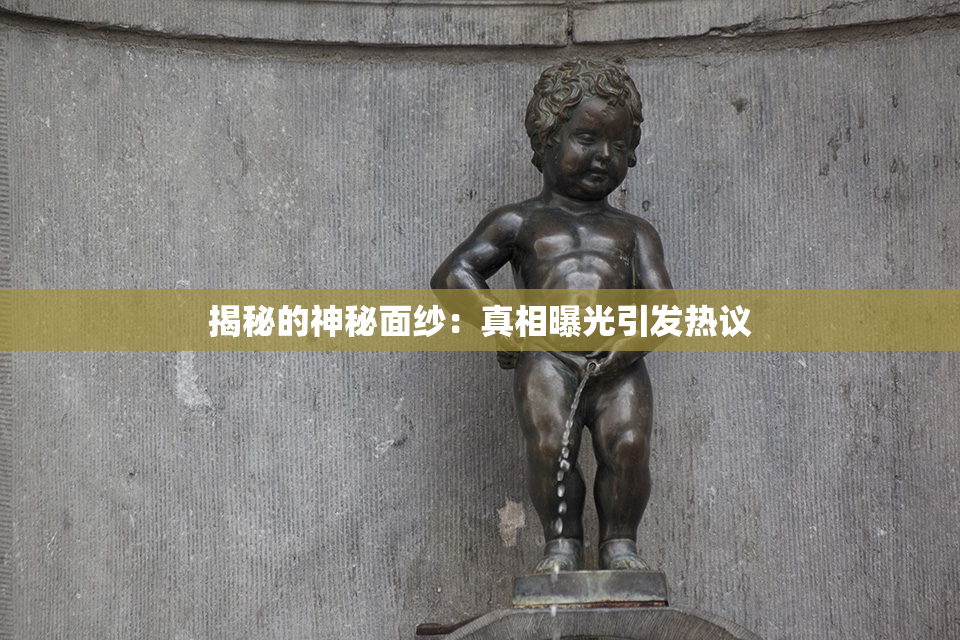 揭秘的神秘面纱：真相曝光引发热议
