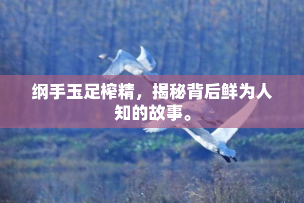 纲手玉足榨精，揭秘背后鲜为人知的故事。