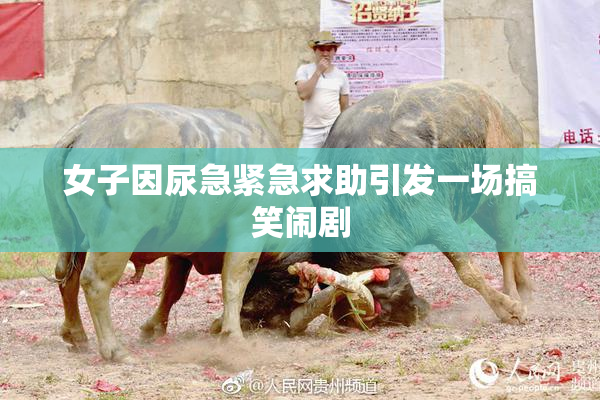女子因尿急紧急求助引发一场搞笑闹剧