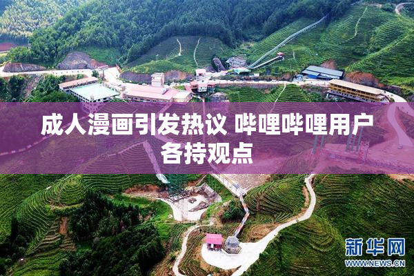 成人漫画引发热议 哔哩哔哩用户各持观点