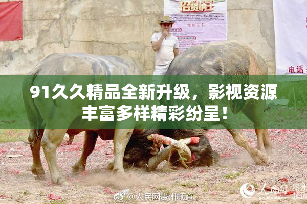 91久久精品全新升级，影视资源丰富多样精彩纷呈！