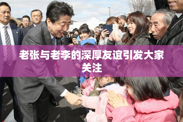 老张与老李的深厚友谊引发大家关注