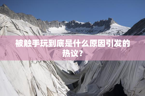 被触手玩到底是什么原因引发的热议？