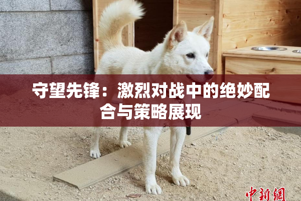 守望先锋：激烈对战中的绝妙配合与策略展现