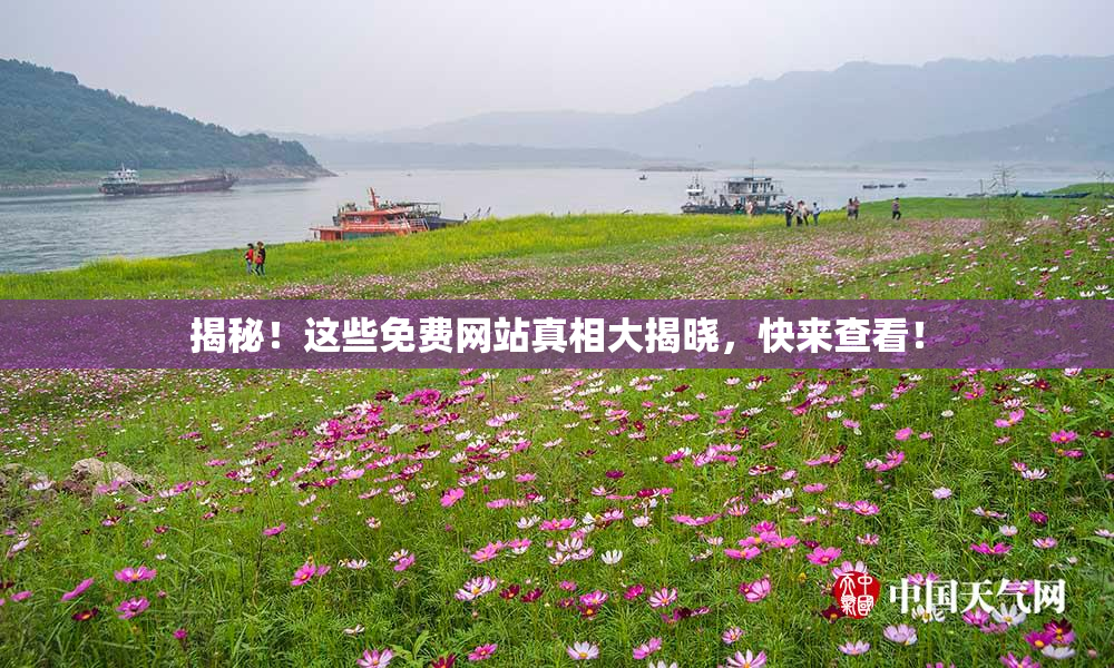 揭秘！这些免费网站真相大揭晓，快来查看！
