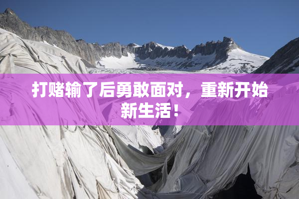 打赌输了后勇敢面对，重新开始新生活！
