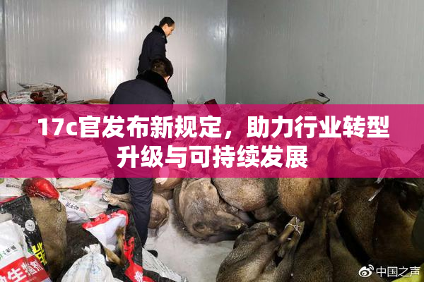 17c官发布新规定，助力行业转型升级与可持续发展
