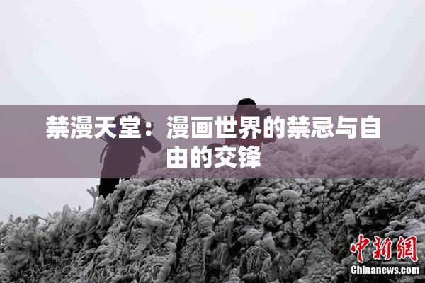 禁漫天堂：漫画世界的禁忌与自由的交锋