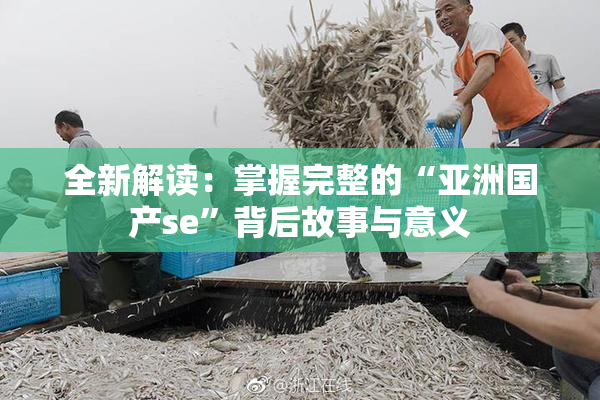 全新解读：掌握完整的“亚洲国产se”背后故事与意义